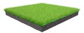 3d rendering of a grass patch isolated Royalty Free Stock Photo