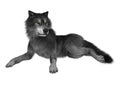 3D Rendering Gray Wolf on White Royalty Free Stock Photo