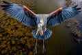 3D rendering of a great blue heron flying over the water, Take flight with a birdseye view shot offering, AI Generated Royalty Free Stock Photo