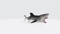 3D rendering of a great white shark isolated on a white background Royalty Free Stock Photo