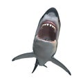 3D Rendering Great White Shark on White Royalty Free Stock Photo