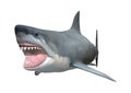 3D Rendering Great White Shark on White Royalty Free Stock Photo