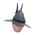 3D Rendering Great White Shark on White Royalty Free Stock Photo