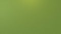 3D Rendering Green Background 276