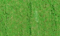 3D rendering. Green grass lawn texture background. top view