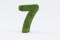 3d rendering of  green grass number 7 isolated on white background - concept of early education Royalty Free Stock Photo