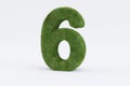 3d rendering of green grass number 6 isolated on white background - concept of early education Royalty Free Stock Photo