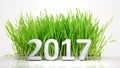 3D rendering of 2017 with green grass