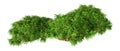 3D Rendering Green Moss on White