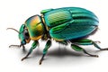 3d rendering of Green June Beetle Bug isolated on transparent background, Generative AI Royalty Free Stock Photo