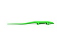 3d rendering of a green lizard isolated in white studio background Royalty Free Stock Photo