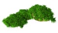 3D Rendering Green Moss on White