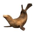 3D Rendering Harbor Seal on White