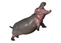 3D Rendering Hippopotamus on White