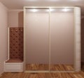 3d rendering of home hallway with big wardrobe amd mirror Royalty Free Stock Photo