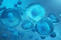 3D Rendering human or animal cells on blue background. Concept Early stage embryo Medicine scientific concept, Stem cell