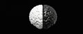 3D rendering of human brain in side view with white and black hemispheres. Left half is larger, positioned on left, against dark Royalty Free Stock Photo