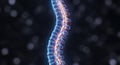 3d rendering of a glowing human spinal column structure with nerve pathways highlighted against a dark, bokeh background, Royalty Free Stock Photo