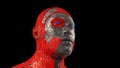 Humanoid robotic head