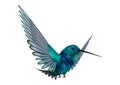 3D Rendering Humming Bird on White Royalty Free Stock Photo