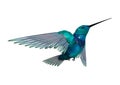 3D Rendering Humming Bird on White Royalty Free Stock Photo