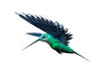 3D Rendering Humming Bird on White Royalty Free Stock Photo