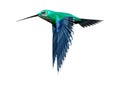 3D Rendering Humming Bird on White Royalty Free Stock Photo