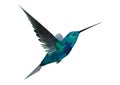 3D Rendering Hummingbird on White