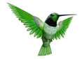3D Rendering Hummingbird on White Royalty Free Stock Photo