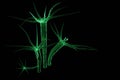 3D rendering Hydra is a genus of small fresh-water animals of the phylum Cnidaria and class Hydrozoa