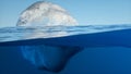 3d rendering of an iceberg, underwater split view