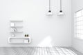 3D Rendering : illustration of cozy living-room interior with white book shelf against matt white wall. natural light from outside