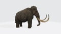 3D rendering illustration of a giant wooly mammoth isolated on a white background