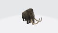 3D rendering illustration of a giant wooly mammoth isolated on a white background Royalty Free Stock Photo