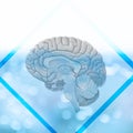 3D rendering. Illustration, graphic brighty brain with light elements Royalty Free Stock Photo