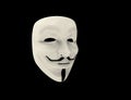 Guy Fawkes / Anonymous mask isolated. Royalty Free Stock Photo