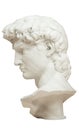 3D rendering illustration of Head of Michelangelo`s David Royalty Free Stock Photo