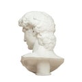 3D rendering illustration of Head of Michelangelo`s David