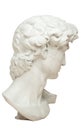 3D rendering illustration of Head of Michelangelo`s David