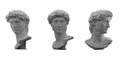 3D rendering illustration of Head of Michelangelo's David in 3 views.