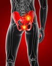3D rendering illustration of pelvis Royalty Free Stock Photo