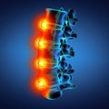 3D rendering illustration of lumbar