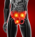 3D rendering illustration of pelvis Royalty Free Stock Photo