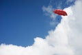 3D Rendering : illustration of Red umbrella floating above against blue sky and clouds. Business, leader concept, being different