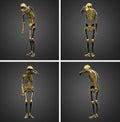 3d rendering illustration of skeleton bone Royalty Free Stock Photo