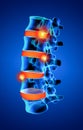 3D rendering illustration of spine bone