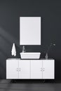 3d rendering : illustration of white mock up frame. hipster background. mock up white poster or picture frame. toilet interior Royalty Free Stock Photo