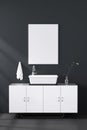 3d rendering : illustration of white mock up frame. hipster background. mock up white poster or picture frame. toilet interior