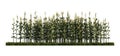 A 3d rendering image of corn on green grasses field