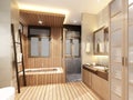 3d rendering of interior bathroom Royalty Free Stock Photo